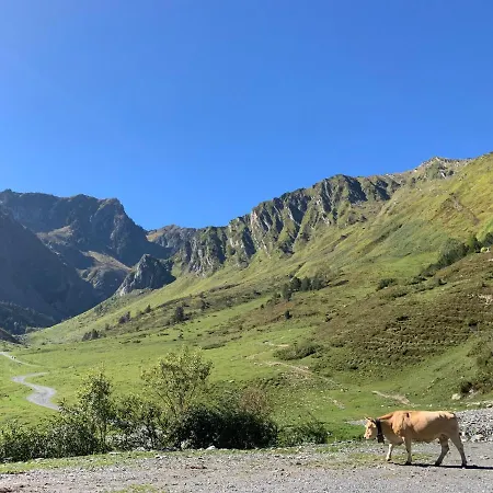 4 Personnes Pied Telecabine Petit Vignemale * Cauterets